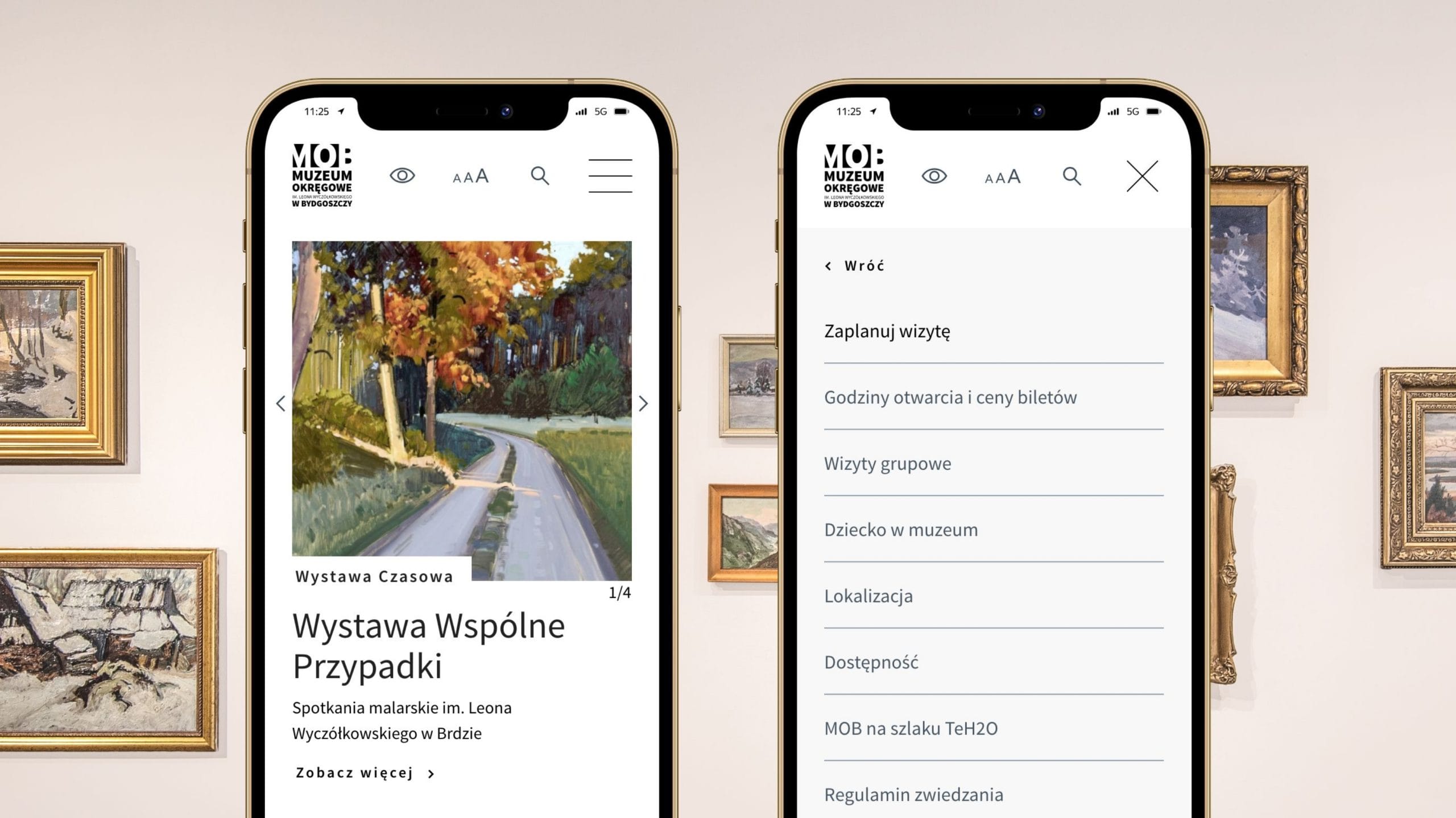 Nowoczesna strona internetowa Muzeum Okręgowego w Bydgoszczy