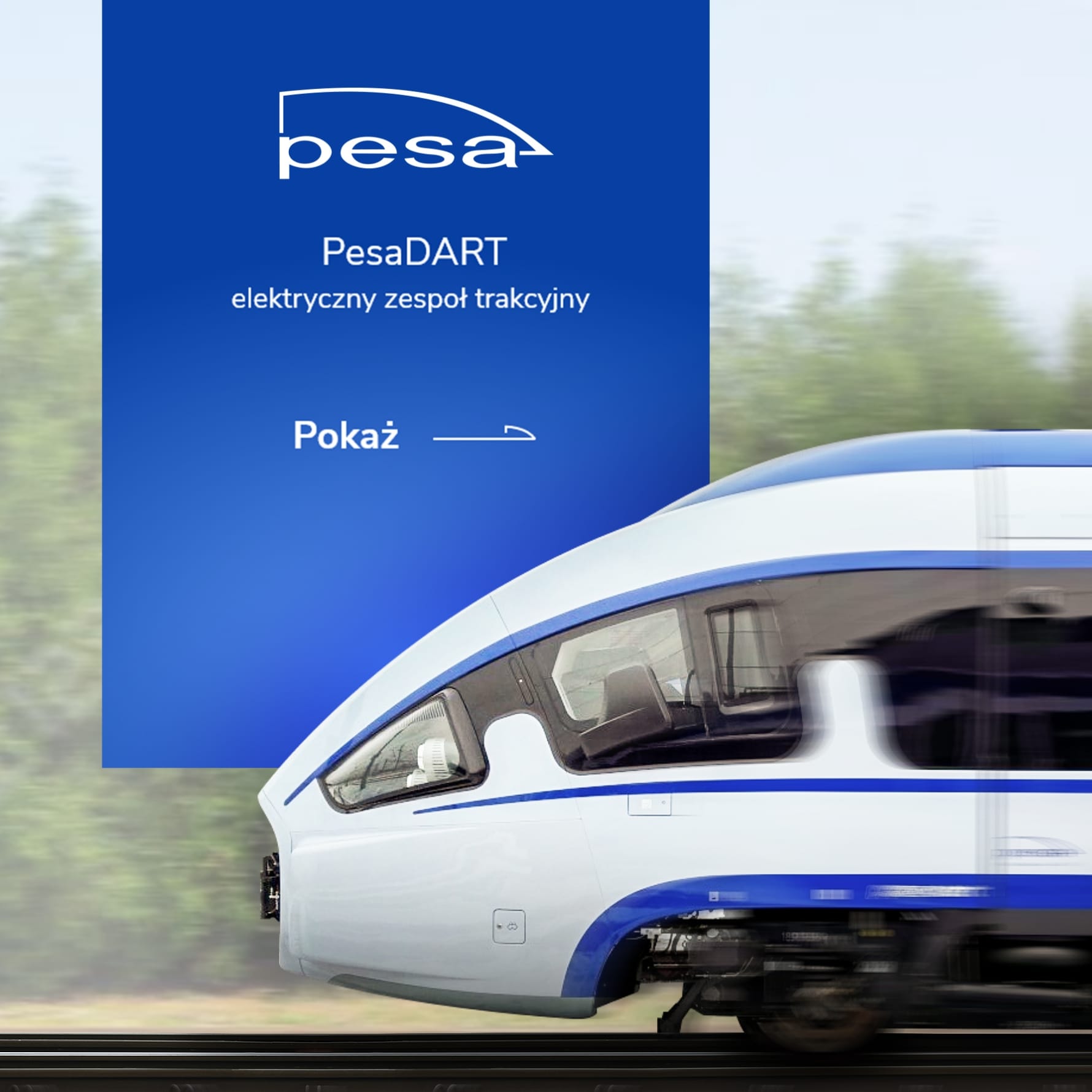 Modern website online Pesa