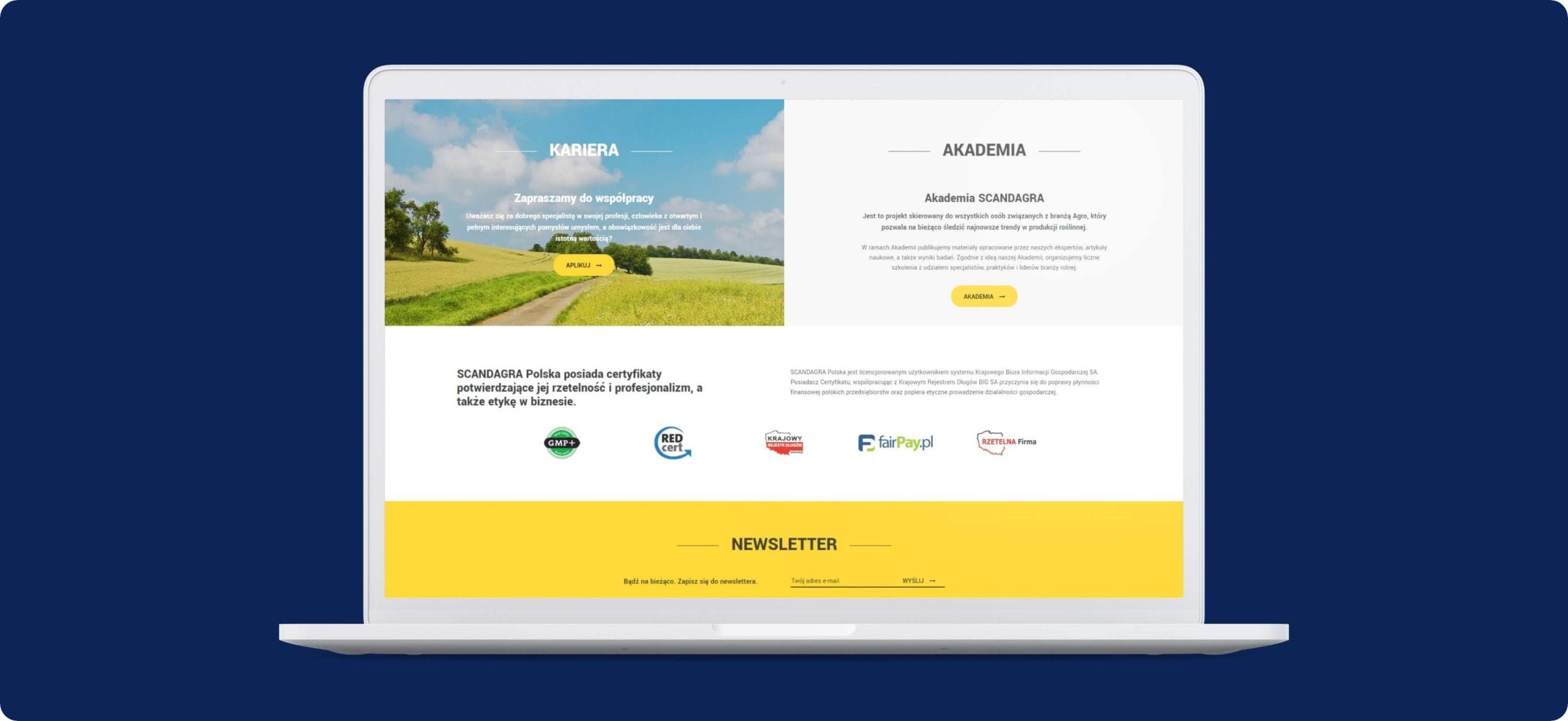 Nowoczesna korporacyjna strona internetowa dla spółki Scandagra